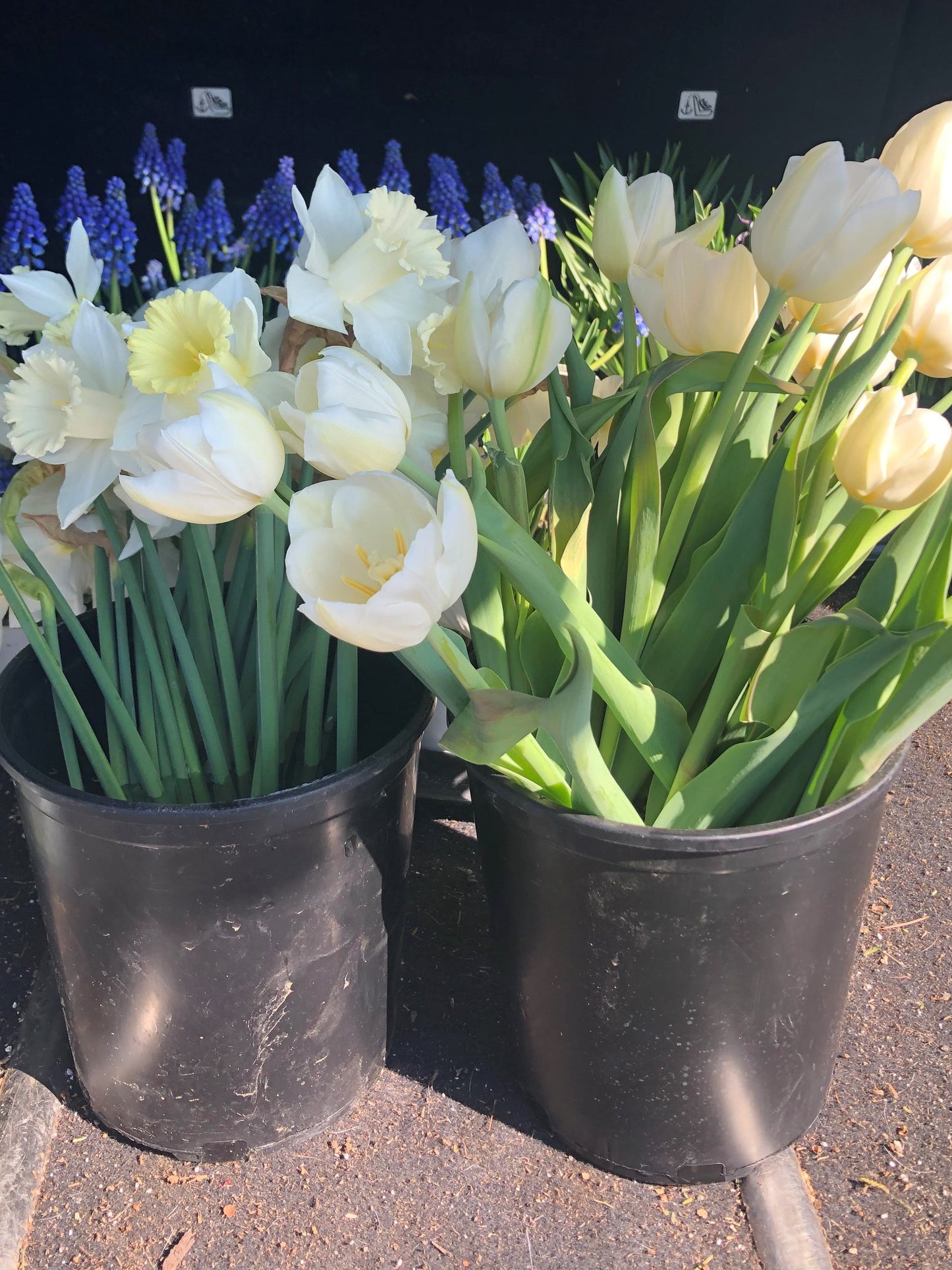 Pick Your Own Floral Bucket